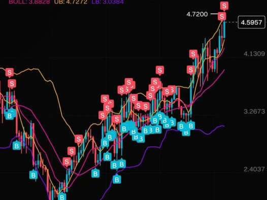 币安 Alpha 都说SOON是大毛?